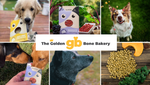 The Golden Bone Bakery Dog Treats- 280g - 3 Flavours