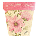 Sow n sow Seed cards