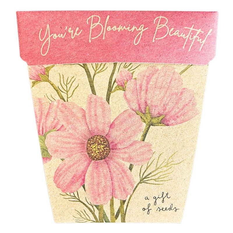 Sow n sow Seed cards