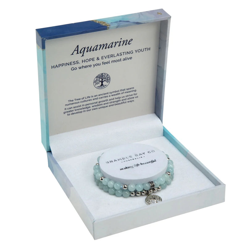 Aquamarine Rhodium- Duo Bracelets