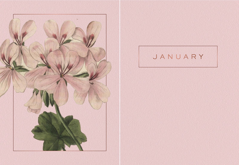A year of Flowers - Journal