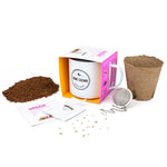 Urban Greens- Grow your Own Echinacea Tea Kit