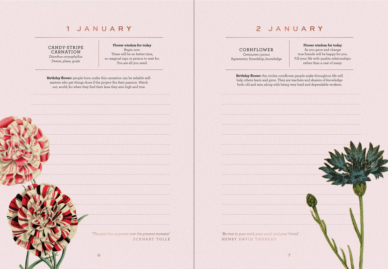 A year of Flowers - Journal