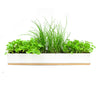 MICRO HERBS WINDOW SILL BOX