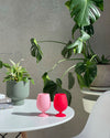 Cherry & Blush Stemm Silicone Wine Glasses - Miyako