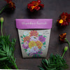 Sow n sow Seed cards