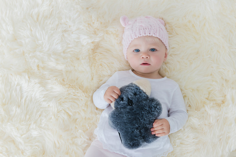 FLATOUTbear Baby Koala